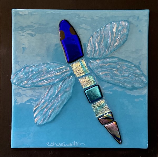 Dragonfly Series by Cindy Cherrington