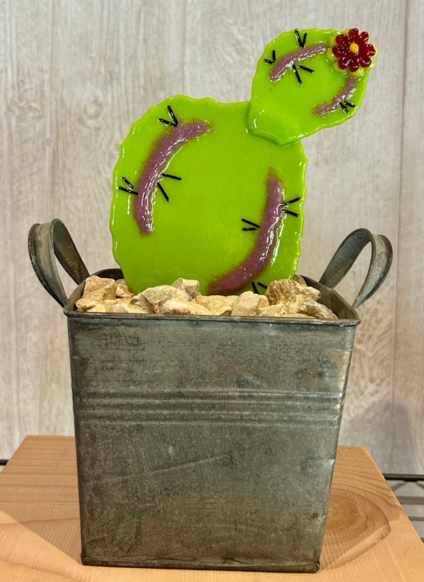 Potted Cacti Series by Cindy Cherrington