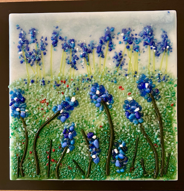Bluebonnet Fields Forever Series by Cindy Cherrington