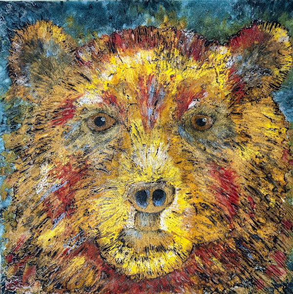 Bear by Cindy Cherrington