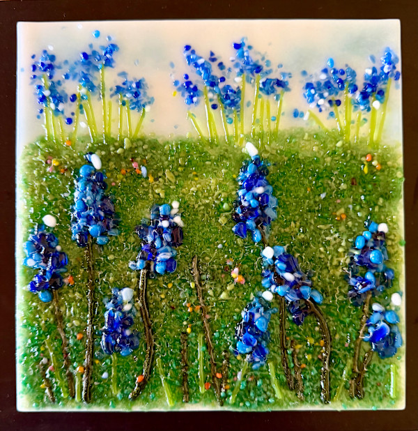 Bluebonnet Fields Forever Series by Cindy Cherrington, Image 1.