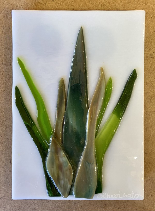 Cactus  Shades of Greens Agave by Cindy Cherrington