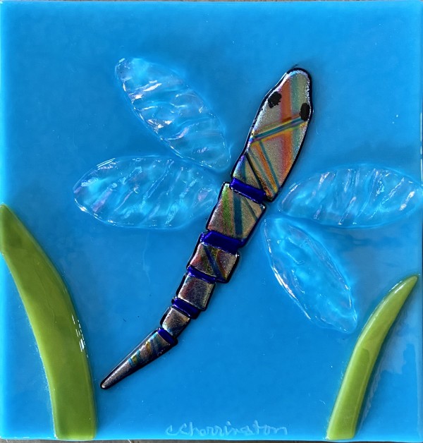 Dragonfly Series by Cindy Cherrington