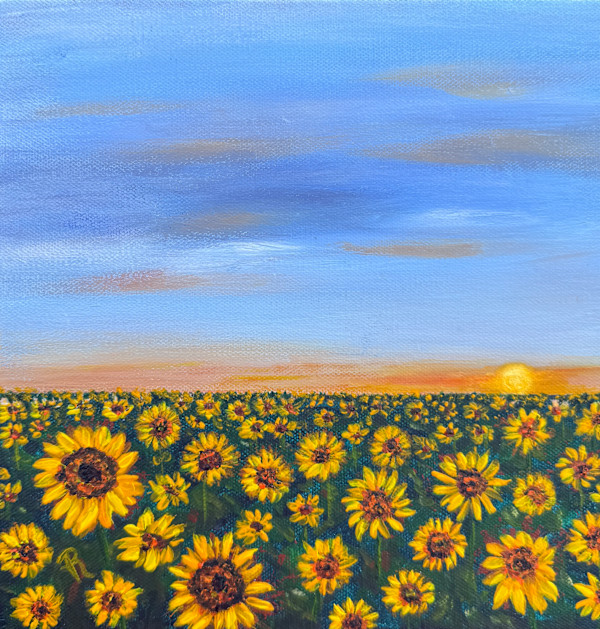 Field of Light by Donna Richardson