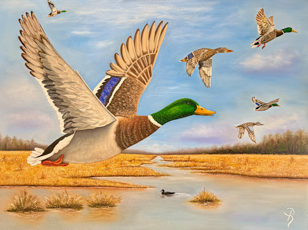 Wings Over Wetlands by Donna Richardson