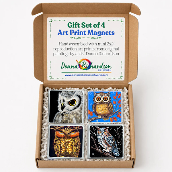 Art Magnets - Set of 4 - Owl Collection by Donna Richardson, Image 1.