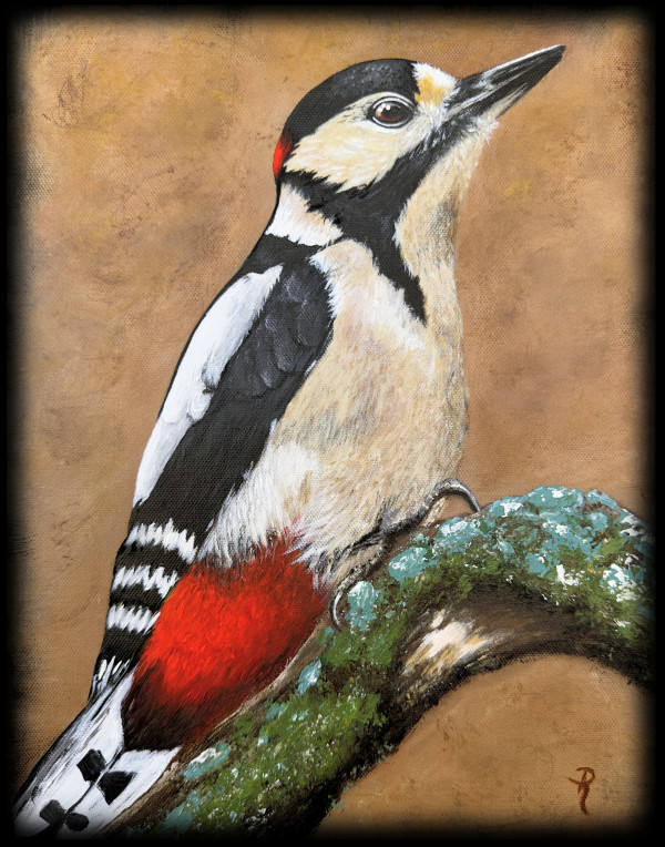 The Great Spotted Male Woodpecker by Donna Richardson