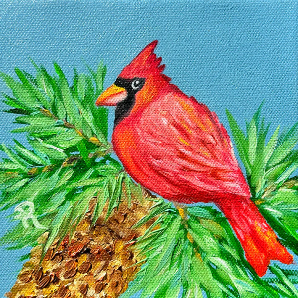 Curious Cardinal by Donna Richardson