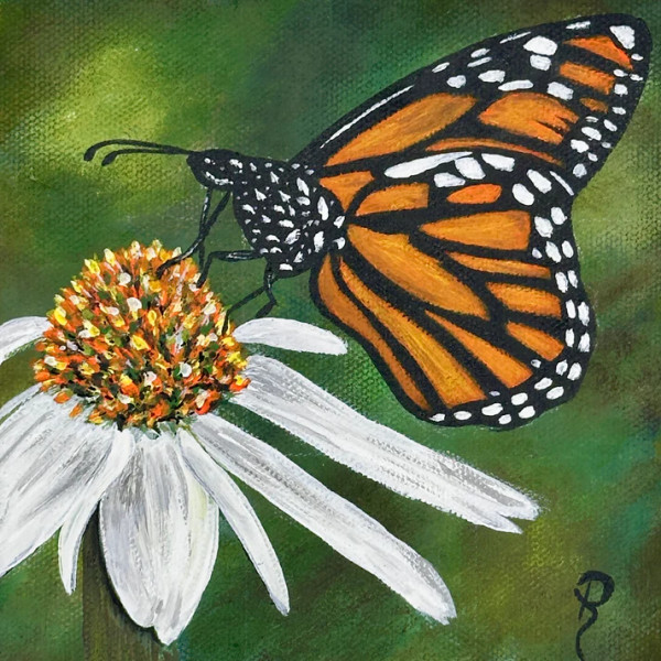 Graceful Monarch by Donna Richardson