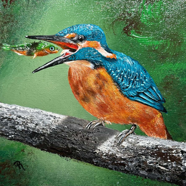 Kingfisher's Surprised Catch by Donna Richardson