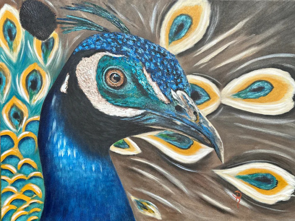 Majestic Peacock Art Print - 9x12+1 #1 by Donna Richardson
