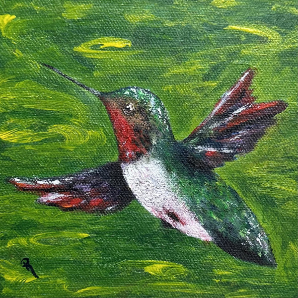 Ruby Whirl Hummingbird by Donna Richardson