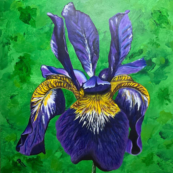 Siberian Iris by Donna Richardson