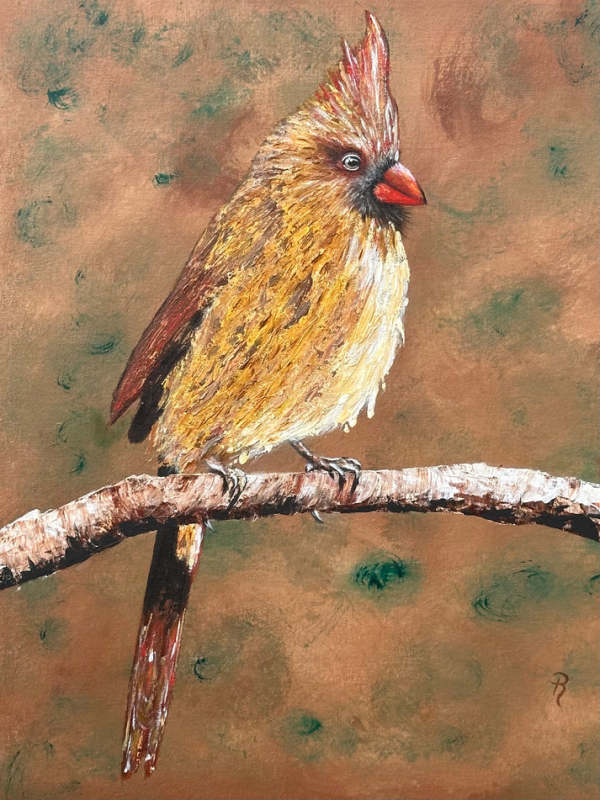 Sitting Pretty Female Cardinal Art Print - 9x12+1 #2 by Donna Richardson