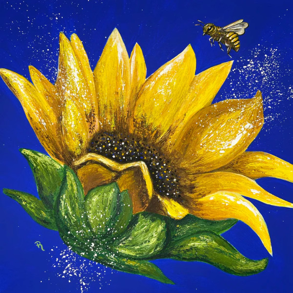 Sunflower Bee Ballet Art Print - 12x12 #1 by Donna Richardson