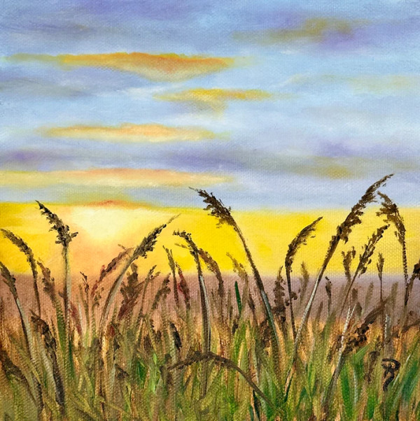Sunset Fields by Donna Richardson