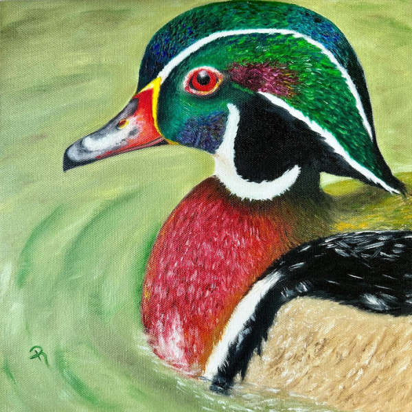 Tranquil Waters: A Wood Duck's Haven by Donna Richardson