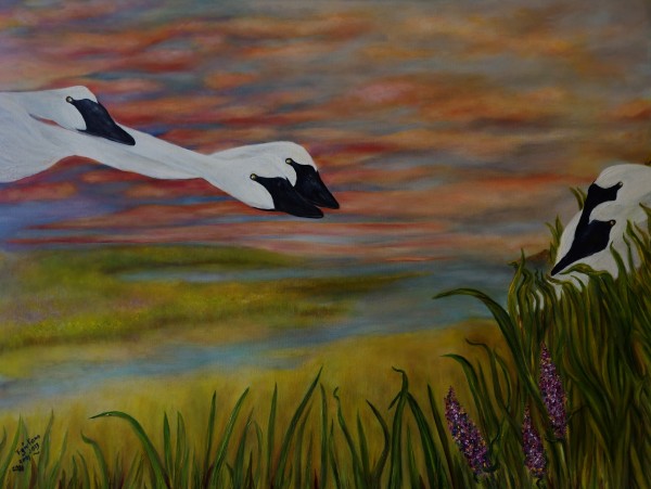 Swans in Flight by Teri Giuliano