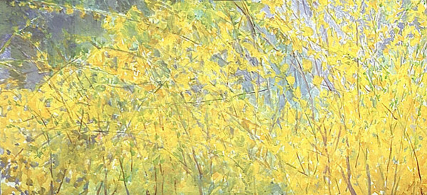 Forsythia by Regina Silvers