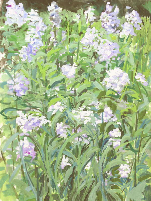White Phlox by Regina Silvers
