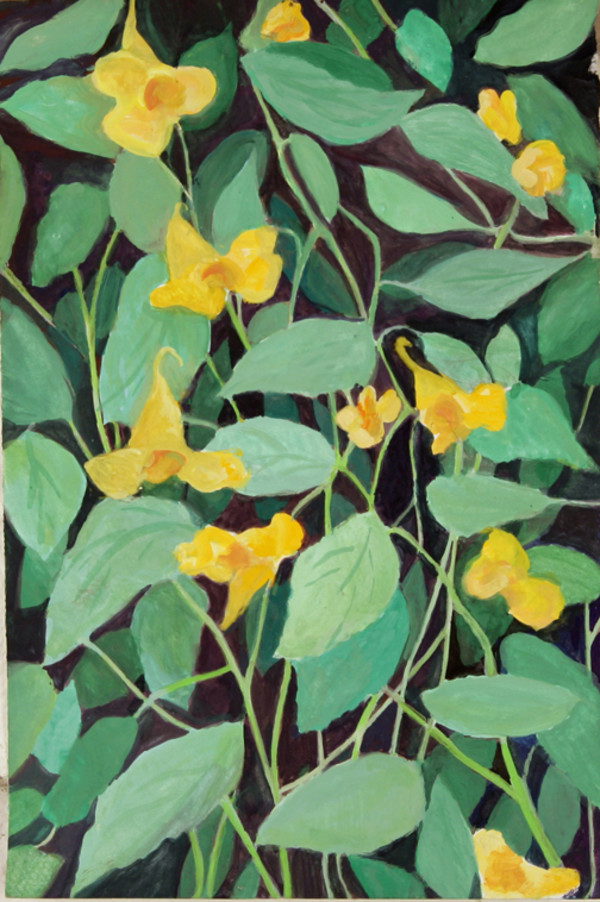Yellow Jewel Weed by Regina Silvers