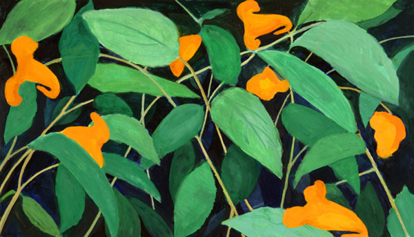 Jewel Weed by Regina Silvers