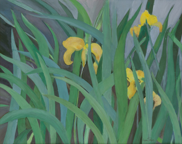 Yellow Iris by Regina Silvers