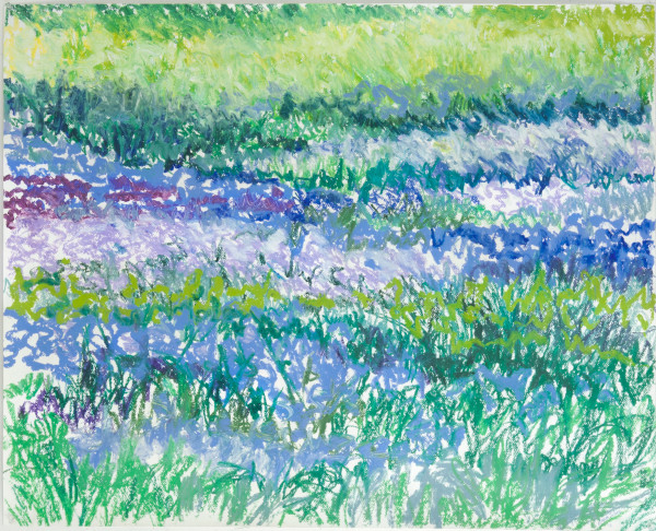 Field of Blues by Regina Silvers