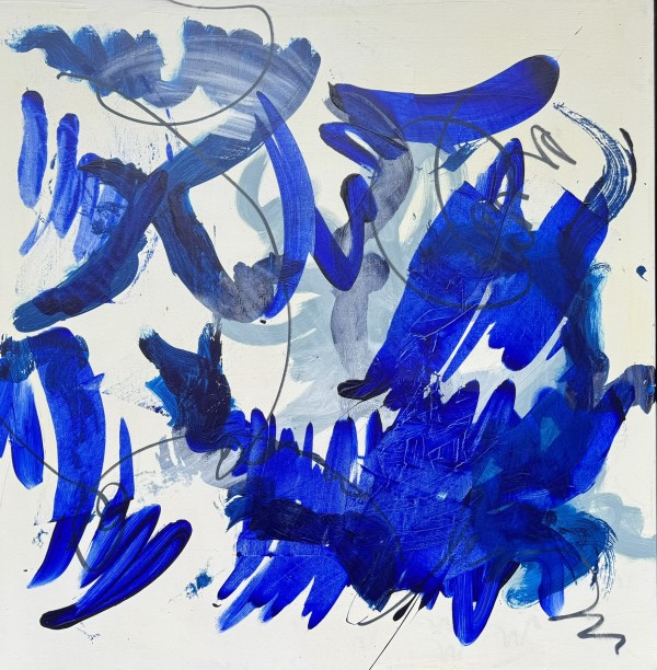 Cote' dAzur by Elizabeth Springs