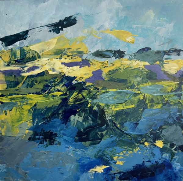 Bodega Head by Elizabeth Springs