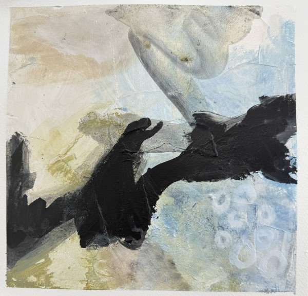 Wonders by Elizabeth Springs