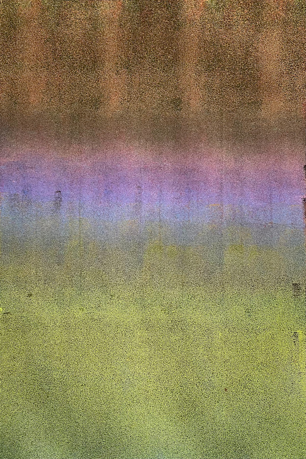 Elegant Solutions to Persistent Dissent by Dean Brown, Image 1.