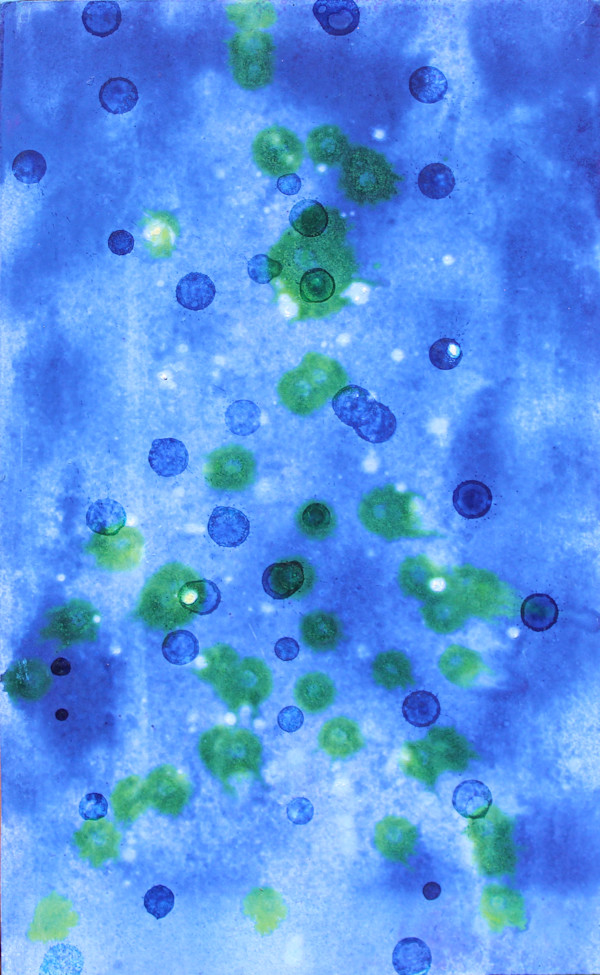 Untitled by Maia Heidel