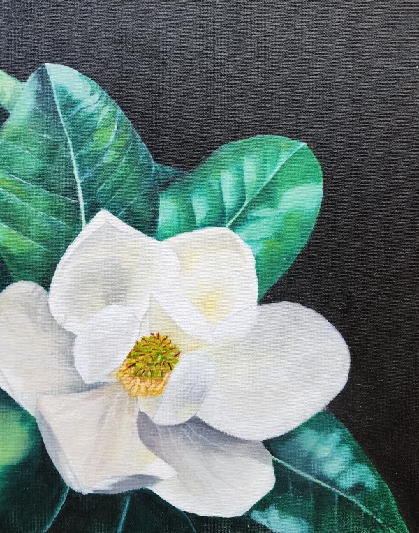 Magnolia by Alisha Morgan