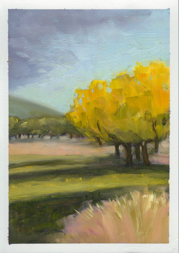 Yellow autumn by Hilary Seselja