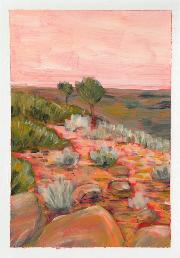 Desert pink by Hilary Seselja