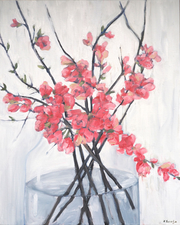 Flowering quince by Hilary Seselja