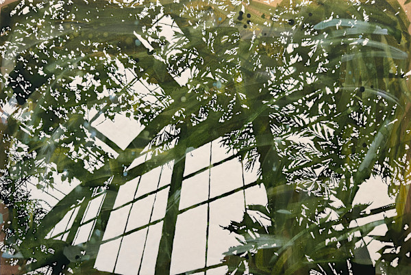 Veil of light and leaves (Wisley XV 51 18' 50'' N 0 28' 42 W) by Rebecca Tucker