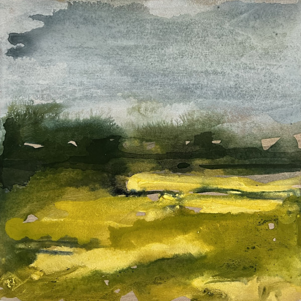 spring fields of yellow by Rebecca Tucker