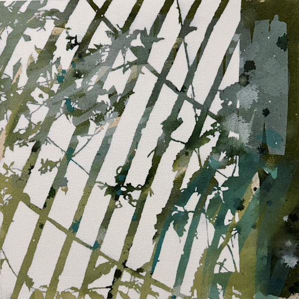 Morning light by Rebecca Tucker, Image 1.