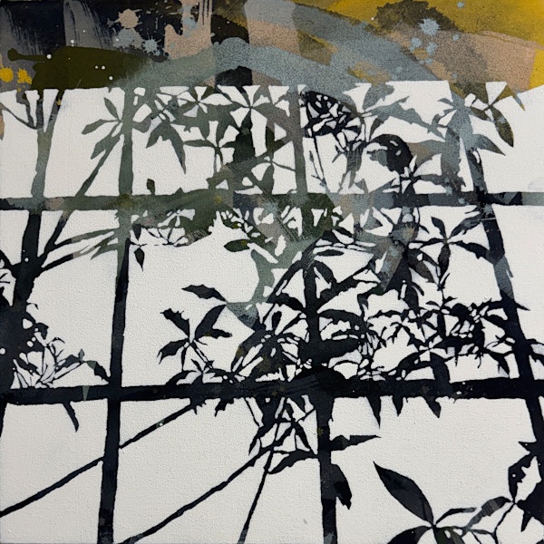 Summer light by Rebecca Tucker, Image 1.