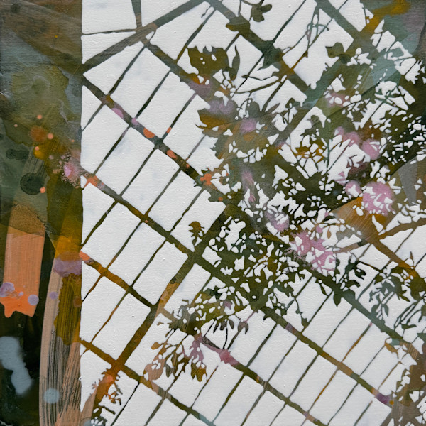 Palm house IV (53°22'52"N 2º56'06"W) by Rebecca Tucker, Image 1.