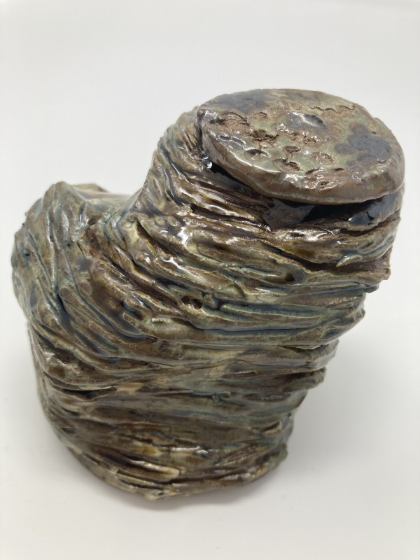 Nest Jar 4 by Lynn Sisler