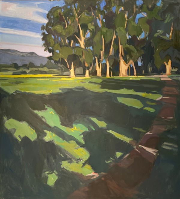 Light on the Path Home