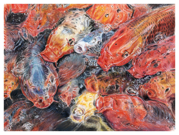 As Carpas by Carla Caroça