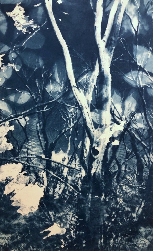 After the Fire by Marie Craig