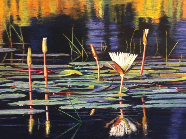 Lilly Bloom - Okavango Delta by Susan E Baldwin