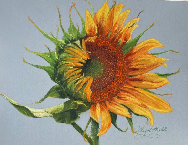 Becoming - Sunflower for Ukraine by Susan E Baldwin