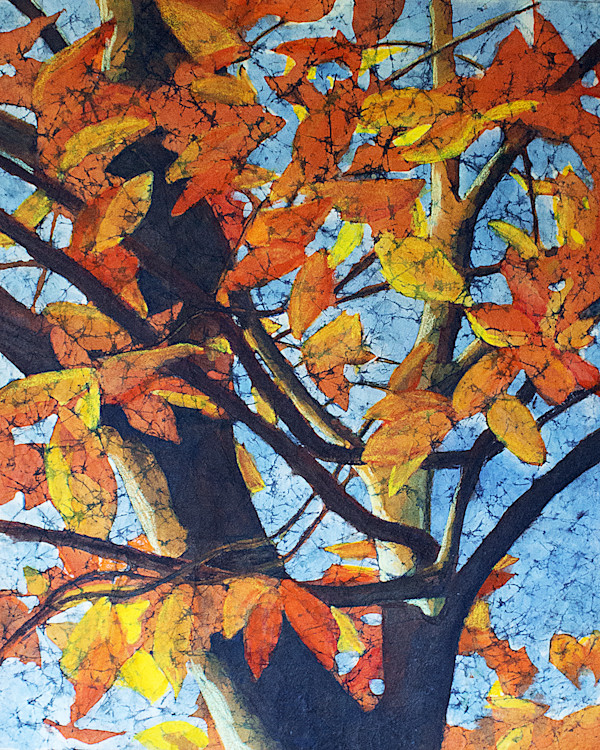 Bird's Eye View by Krista Hasson, Image 1.