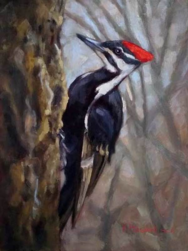 Pileated woodpecker by Krista Hasson